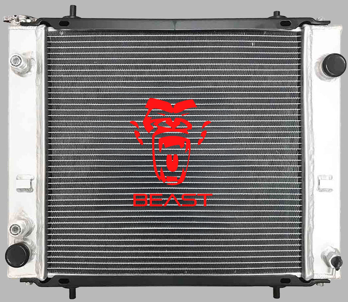 RADIADOR H30FT 993820