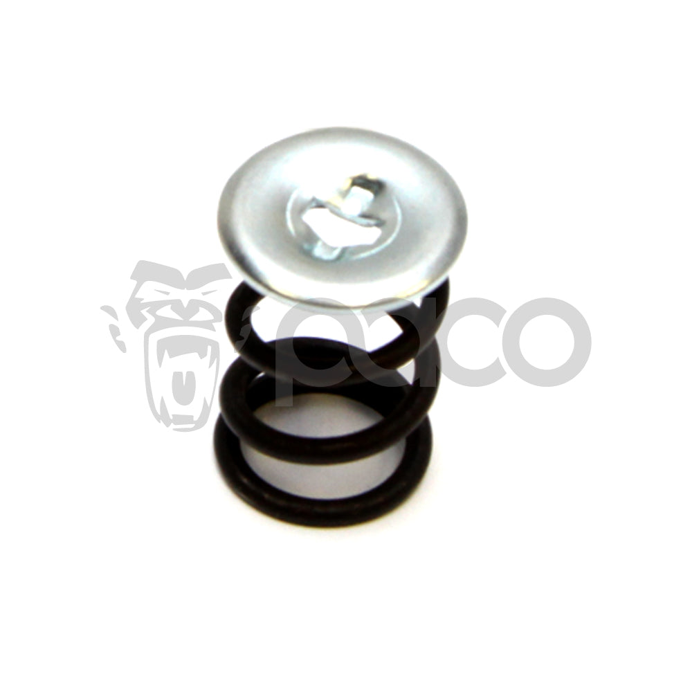 SPRING & CUP KIT 106053