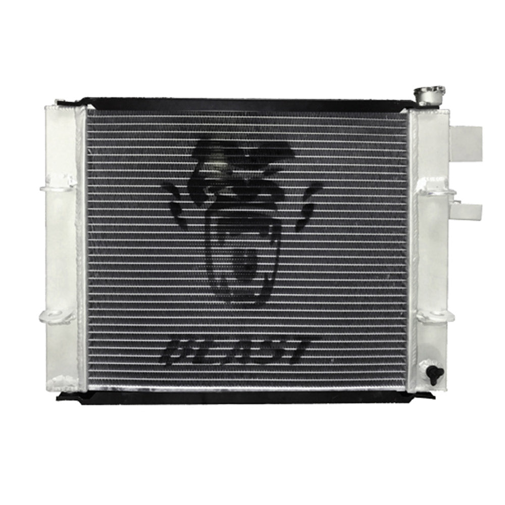 RADIADOR 106255