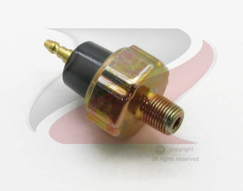 INTERRUPTOR - TIPO POLO N-25240-89910