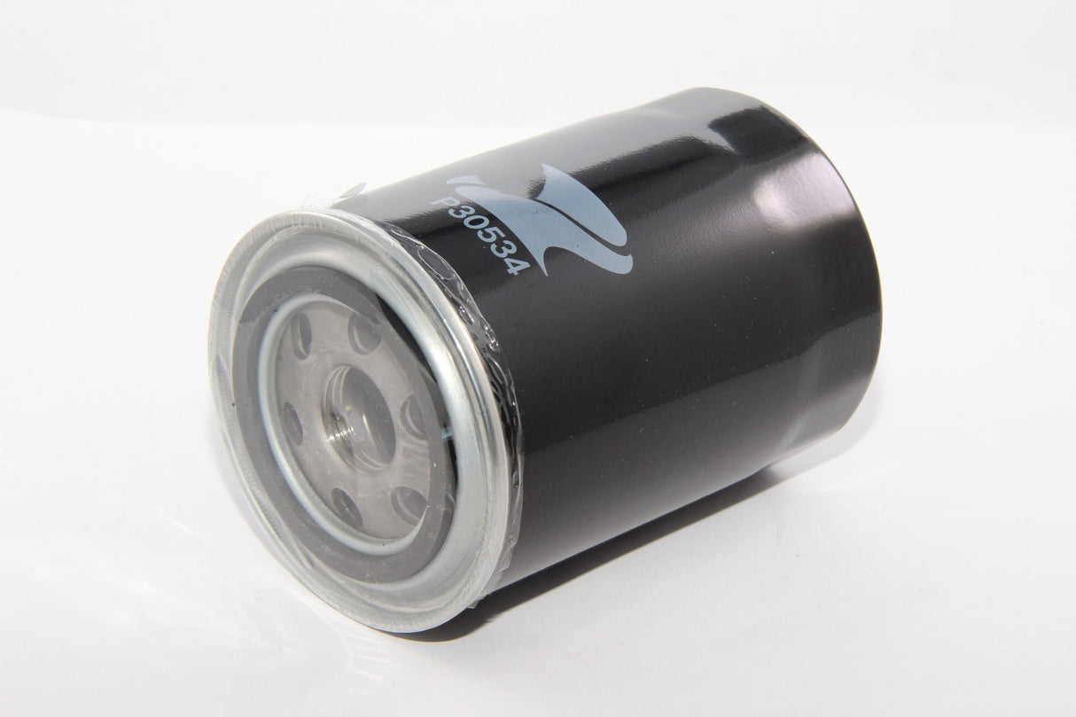 FILTER 30534