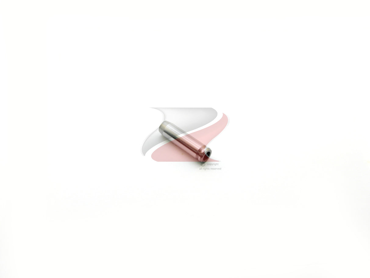 GUIA-ENTRADA 4G64 MD020551