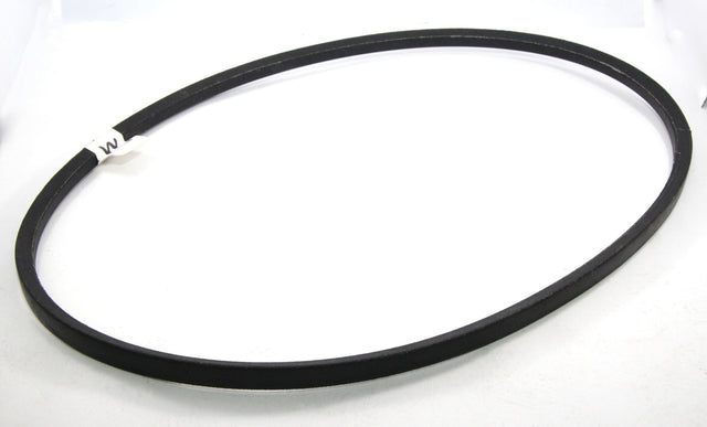 CINTURÓN 62331 - Panacea Aftermarket Co.