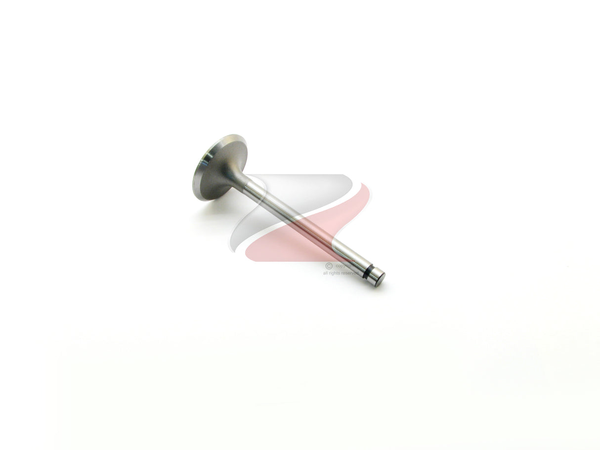 VALVE INT H20/H20-II 13201-P0502