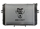 RADIATOR (PLASTIC TANKS) 1338328